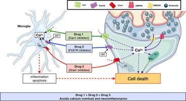 Targeting calciumopathy for neuroprotection: focus on calcium channels Cav1, Orai1 and P2X7