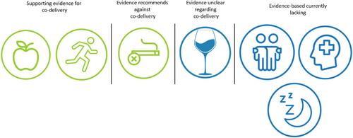 Delivery of Interventions for Multiple Lifestyle Factors in Primary Healthcare Settings: A Narrative Review Addressing Strategies for Effective Implementation