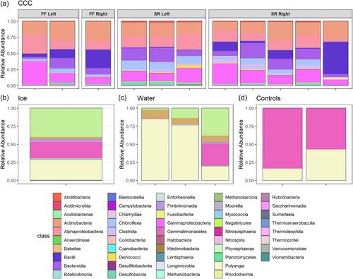 Bacterial diversity and geomicrobiology of Winter Wonderland ice cave, Utah, USA