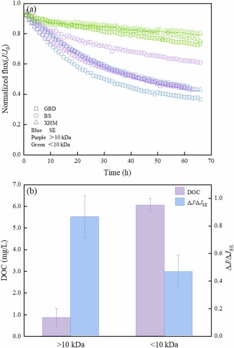 Molecular weight insight into critical component contributing to reverse osmosis membrane fouling in wastewater reclamation