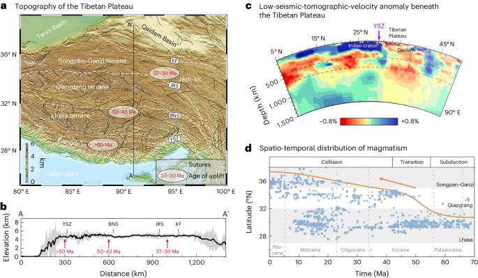 Uplift of the Tibetan Plateau driven by mantle delamination from the overriding plate