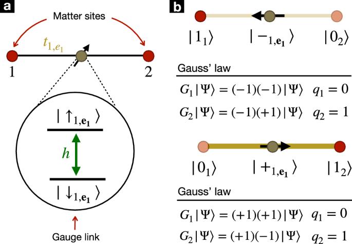 Synthetic $${{\mathbb{Z}}}_{2}$$ gauge theories based on parametric excitations of trapped ions