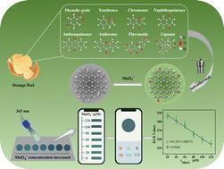 A portable smartphone platform based on fluorescent carbon quantum dots derived from biowaste for on-site detection of permanganate†