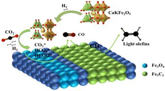 Potassium-modified calcium-ferrate-catalyzed hydrogenation of carbon dioxide to produce light olefins†