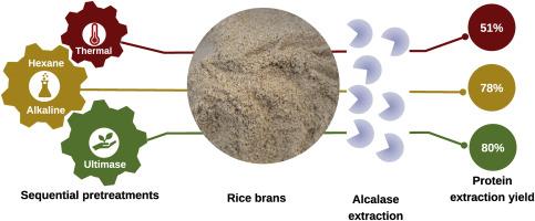 Contribution of sequential pretreatments and enzyme-assisted extraction to rice bran protein yield improvement