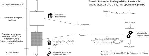 Biodegradation kinetics of organic micropollutants in biofilters for advanced wastewater treatment – Impact of operational conditions and biomass origin on removal