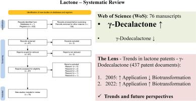 Microbial lactones: A systematic bibliometric review of γ-lactone production by biotechnological processes and technological prospection with focus on γ-dodecalactone