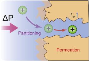 Salt partitioning and transport in polyamide reverse osmosis membranes at ultrahigh pressures