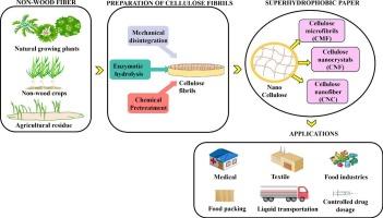 Recent advances in superhydrophobic paper derived from nonwood fibers