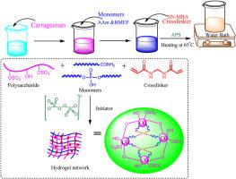 Designing carrageenan-based hydrogels for drug delivery applications: Evaluation of physiochemical and biomedical properties