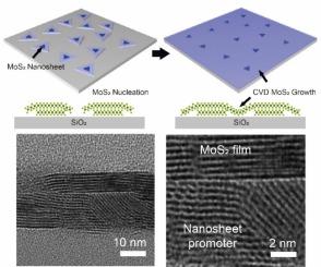 Large-scale growth of MoS2 hybrid layer by chemical vapor deposition with nanosheet promoter