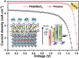 Reducing oxygen vacancies of MoO3 by polyaniline functionalization for stable and efficient inorganic tri-brominated perovskite solar cells