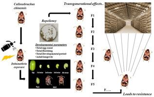 Transgenerational effects of sublethal deltamethrin exposure on development and repellency behaviour in Callosobruchus chinensis