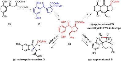 Syntheses of Ganoderma meroterpenoids (±)-spiroapplanatumine O and (±)-applanatumol B/W