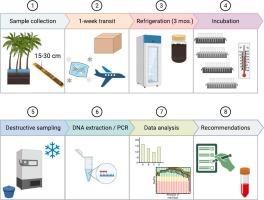 Microbial DNA sample preservation and possible artifacts for field-based research in remote tropical peatlands