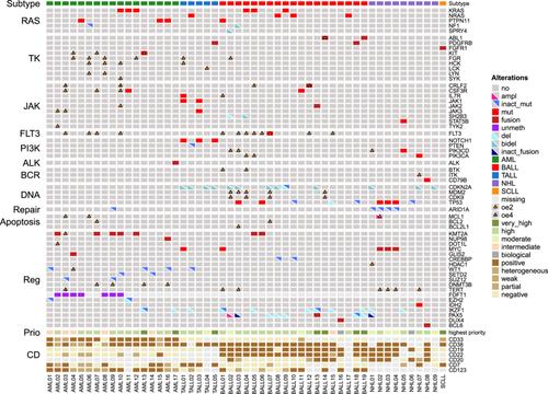 Oncogenic and immunological targets for matched therapy of pediatric blood cancer patients: Dutch iTHER study experience