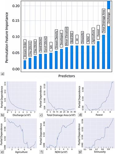 Spatiotemporal Variability of Channel Roughness and its Substantial Impacts on Flood Modeling Errors