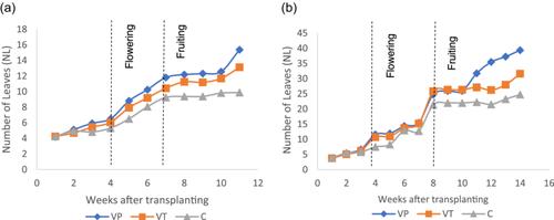 Amino acid-based biostimulants and microbial biostimulants promote the growth, yield and resilience of strawberries in soilless glasshouse cultivation