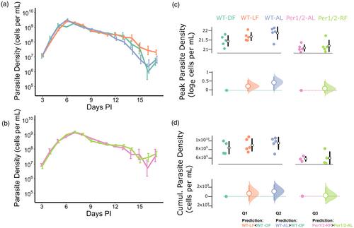 Testing the evolutionary drivers of malaria parasite rhythms and their consequences for host–parasite interactions