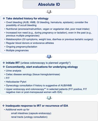 Recommendations for diagnosis, treatment, and prevention of iron deficiency and iron deficiency anemia