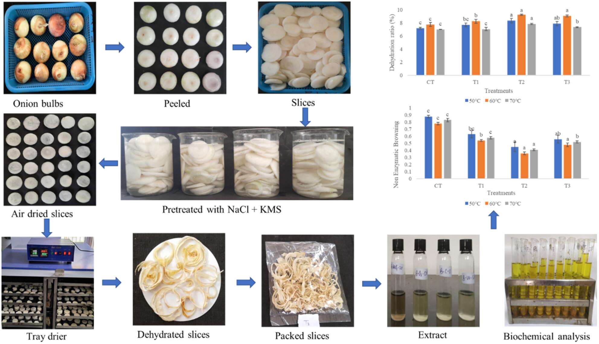 Nutritional retention and browning minimisation in dehydrated onion slices through potassium metabisulphite and sodium chloride pre-treatments