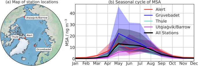 Pan-Arctic methanesulfonic acid aerosol: source regions, atmospheric drivers, and future projections