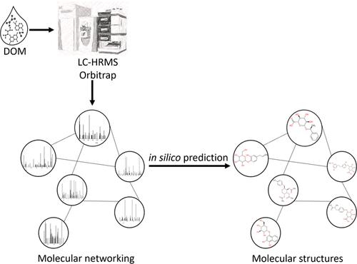 Enhancing Molecular Characterization of Dissolved Organic Matter by Integrative Direct Infusion and Liquid Chromatography Nontargeted Workflows