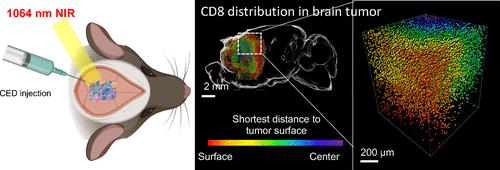A Self-Cascade Penetrating Brain Tumor Immunotherapy Mediated by Near-Infrared II Cell Membrane-Disrupting Nanoflakes via Detained Dendritic Cells