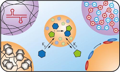 How Droplets Can Accelerate Reactions─Coacervate Protocells as Catalytic Microcompartments