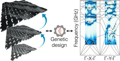 Tailoring Phonon Dispersion of a Genetically Designed Nanophononic Metasurface