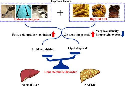 Disinfection Byproducts of Haloacetaldehydes Disrupt Hepatic Lipid Metabolism and Induce Lipotoxicity in High-Fat Culture Conditions