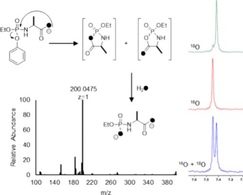 Regiochemical Analysis of the ProTide Activation Mechanism