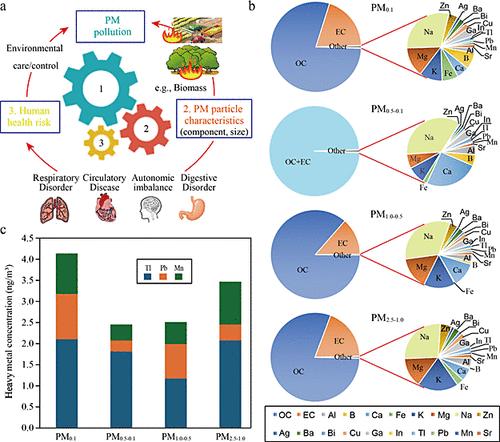 Characterizing Chemical, Environmental, and Stimulated Subcellular Physical Characteristics of Size-Fractionated PMs Down to PM0.1