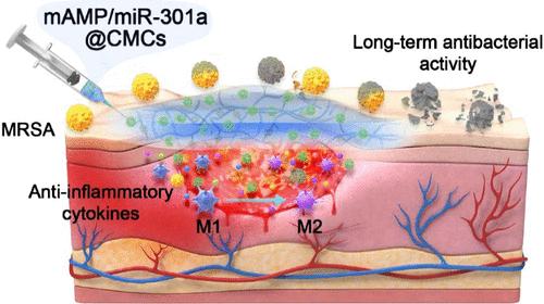 Self-Adapting Biomass Hydrogel Embodied with miRNA Immunoregulation and Long-Term Bacterial Eradiation for Synergistic Chronic Wound Therapy