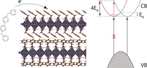 Optical Studies of Doped Two-Dimensional Lead Halide Perovskites: Evidence for Rashba-Split Branches in the Conduction Band