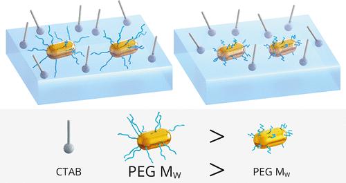 The Role of the Polyethylene Glycol in the Organization of Gold Nanorods at the Air–Water and Air–Solid Interfaces