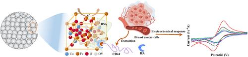 Oxygen Vacancy-Enriched CoFe2O4 for Electrochemically Sensitive Detection of the Breast Cancer CD44 Biomarker