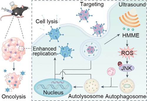 Enhancing the Antitumor Efficacy of Oncolytic Adenovirus Through Sonodynamic Therapy-Augmented Virus Replication