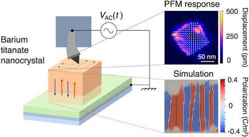 Ferroelectric Texture of Individual Barium Titanate Nanocrystals