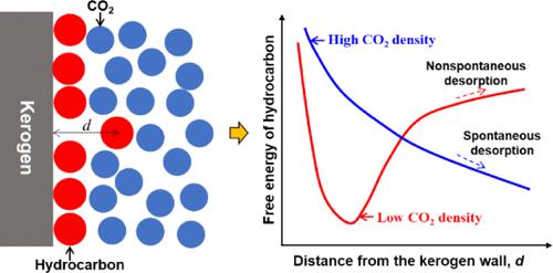 Investigation of the Driving Force of Replacing Adsorbed Hydrocarbons by CO2 in Organic Matter from an Energy Perspective