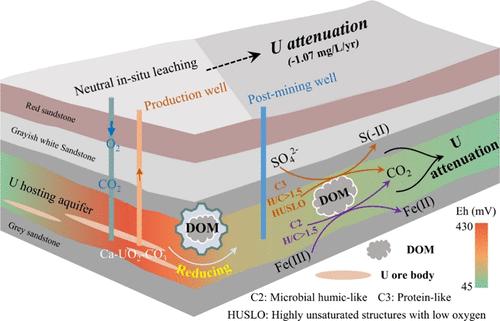 Natural Attenuation of Groundwater Uranium in Post-Neutral-Mining Sites Evidenced from Multiple Isotopes and Dissolved Organic Matter
