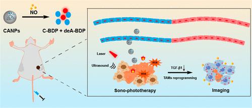 Boron Dipyrromethene-Based Nanotheranostic System for Sonophotoassisted Therapy and Simultaneous Monitoring of Tumor Immune Microenvironment Reprogramming