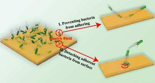 Adaptive Escape of Pseudomonas aeruginosa by Application of Low-Amplitude Electric Pulses