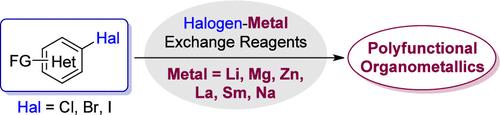 Recent Advances in Halogen–Metal Exchange Reactions