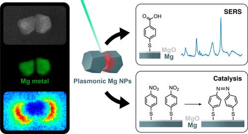 Magnesium Nanoparticles for Surface-Enhanced Raman Scattering and Plasmon-Driven Catalysis