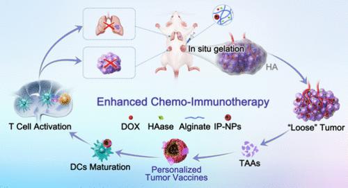 Multifunctional Nanoparticle-Loaded Injectable Alginate Hydrogels with Deep Tumor Penetration for Enhanced Chemo-Immunotherapy of Cancer