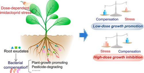Rhizosphere Bacteria Help to Compensate for Pesticide-Induced Stress in Plants