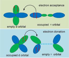 Asymmetric dual-metal-hybridization in dual-atom dimers trigger a spin transition for electrochemical degradation from nitrate to ammonia