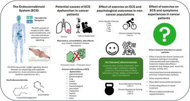 Investigating endocannabinoid system and subjective responses to exercise in cancer patients: Rationale and future research directions