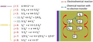 Reaction kinetics of lithium–sulfur batteries with a polar Li-ion electrolyte: modeling of liquid phase and solid phase processes